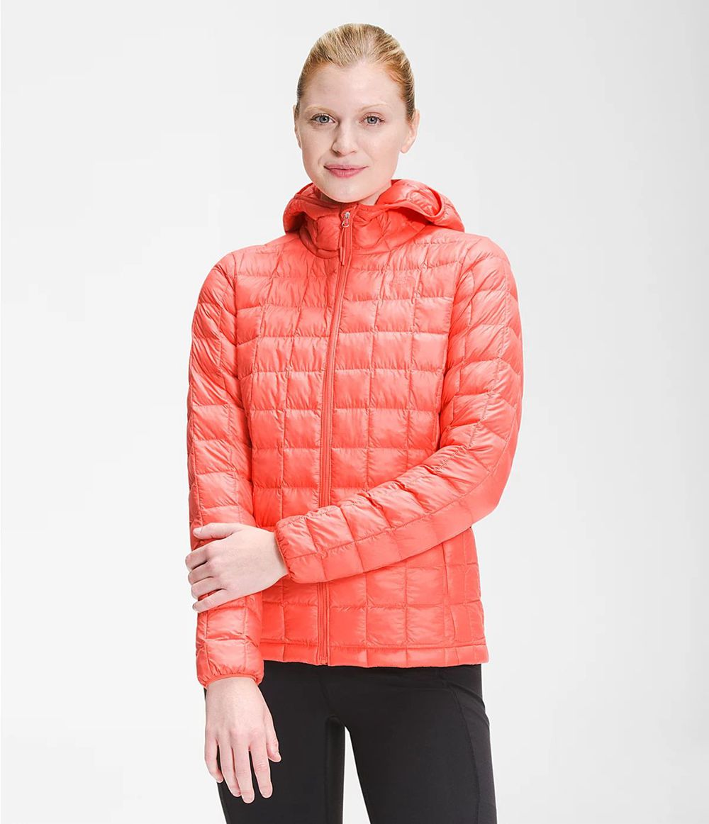 The North Face Thermoball Eco Kapuzenpullover Damen - Orange CH-403LOZH